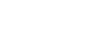 Platinum Food Partners Limited logo